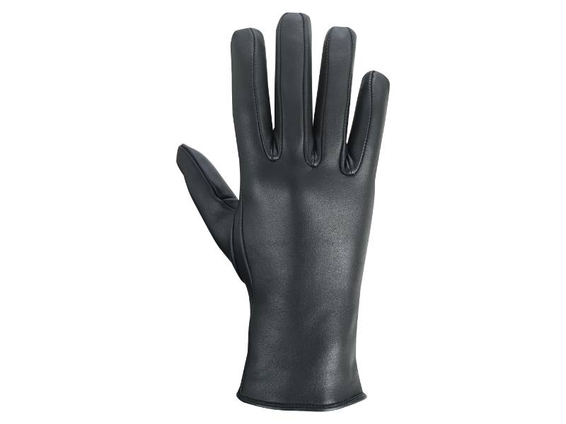 Regal Palm Women's Black Formal Dress Glove