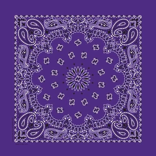 NT4406 Bandana Paisley Purple