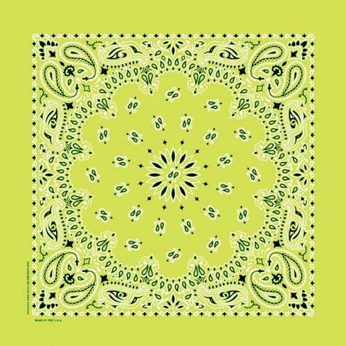 NT4410 Bandana Paisley Lime